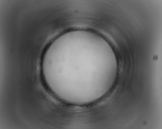 X0000102240494200807250841