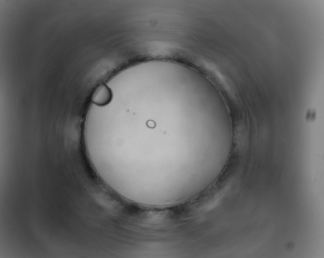 X0000102240495200807250841