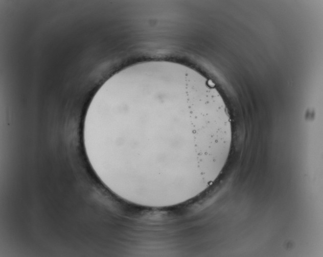 X0000102240497200807250841