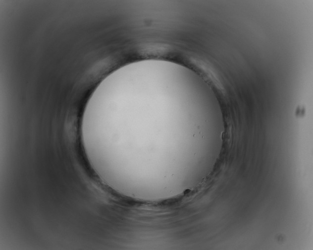 X0000102240498200807250841