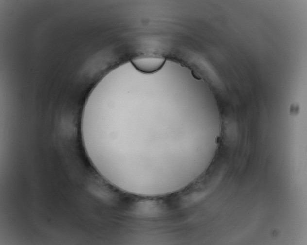 X0000102240499200807250841