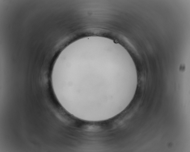 X0000102240500200807250841