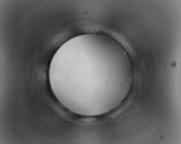 X0000102240501200807250841