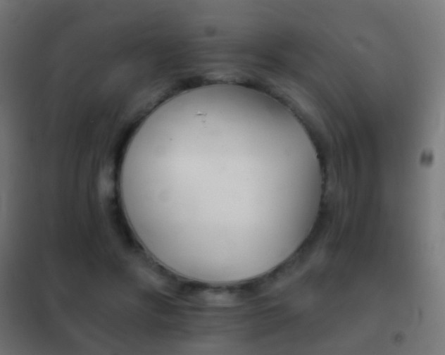 X0000102240502200807250841