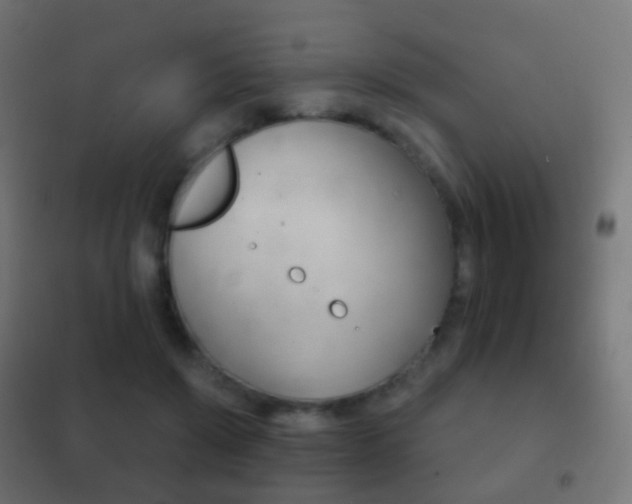 X0000102240503200807250841