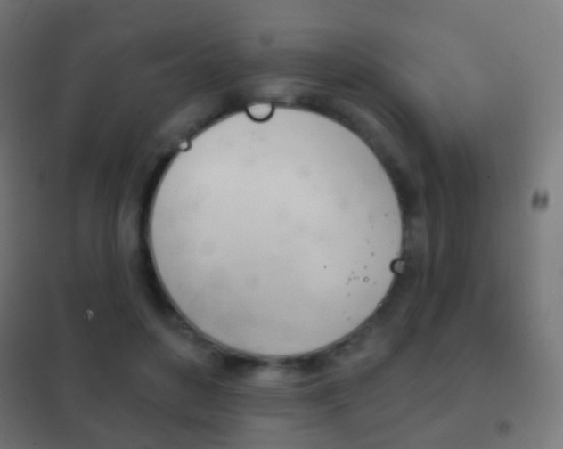 X0000102240504200807250841
