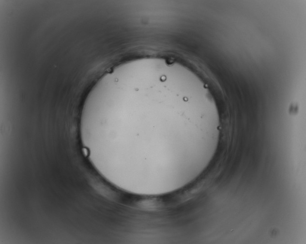 X0000102240505200807250841