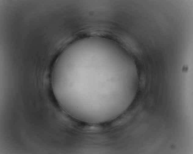 X0000102240506200807250841
