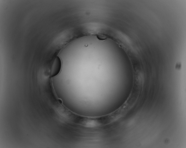 X0000102240507200807250841