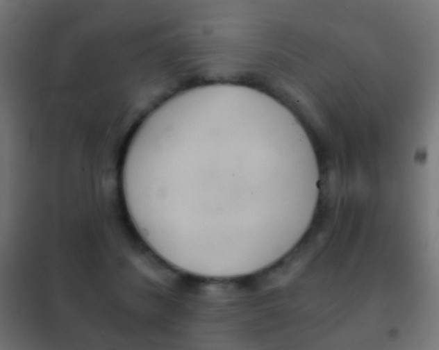 X0000102240508200807250841