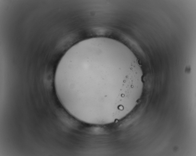 X0000102240509200807250841