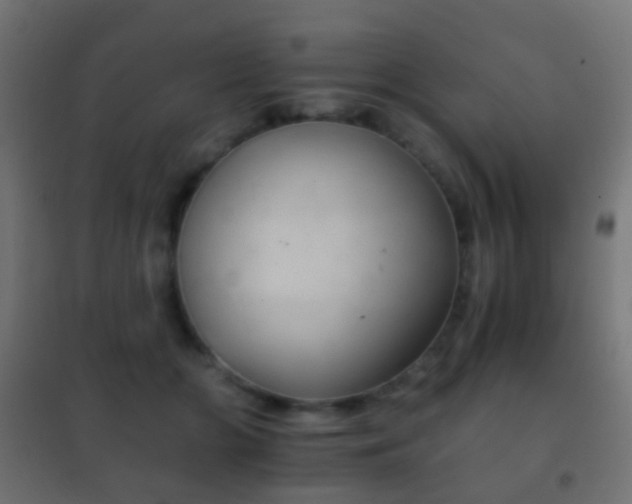 X0000102240510200807250841