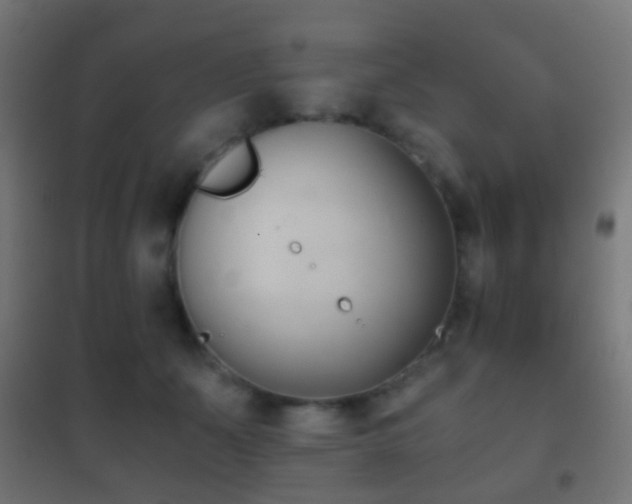 X0000102240511200807250841