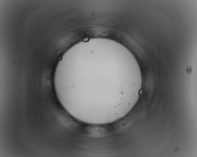 X0000102240512200807250841