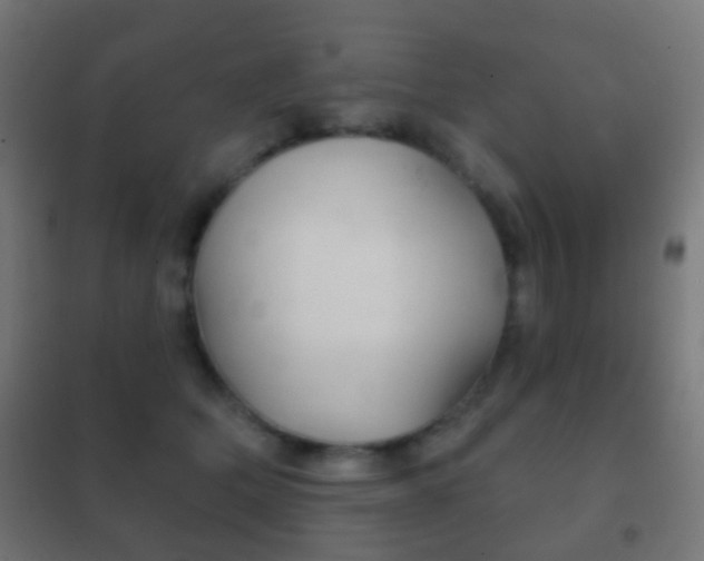X0000102240514200807250841