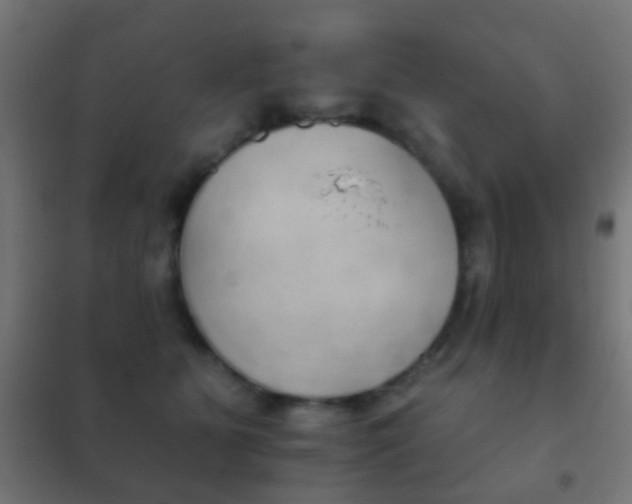 X0000102240515200807250841