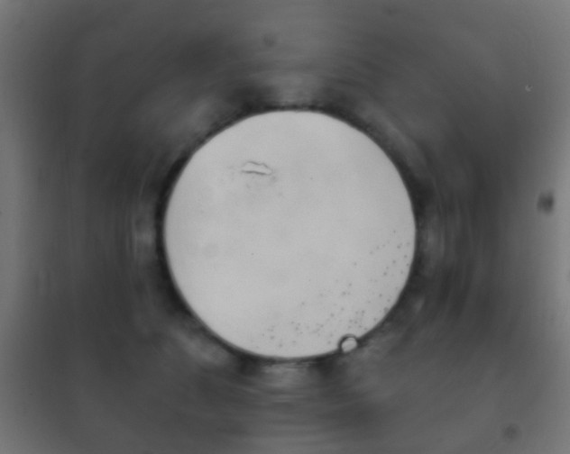X0000102240516200807250841