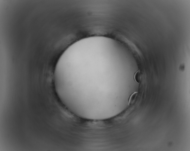 X0000102240517200807250841