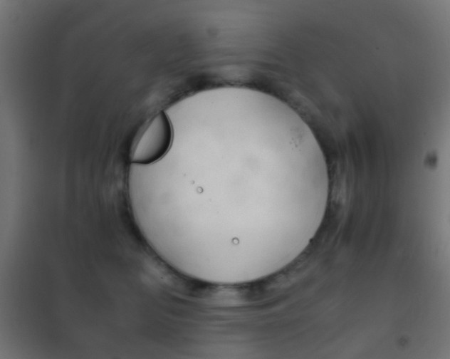 X0000102240518200807250841