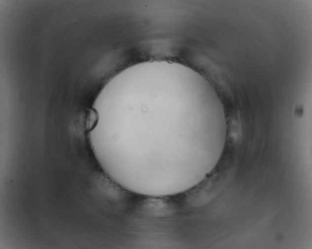 X0000102240519200807250841