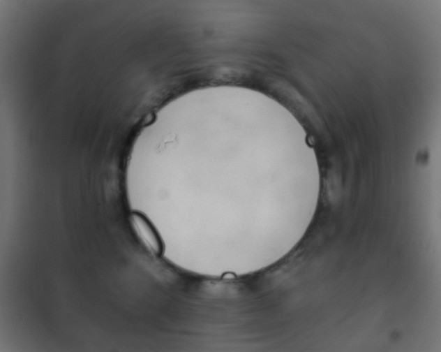 X0000102240520200807250841