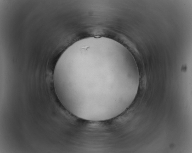 X0000102240521200807250841