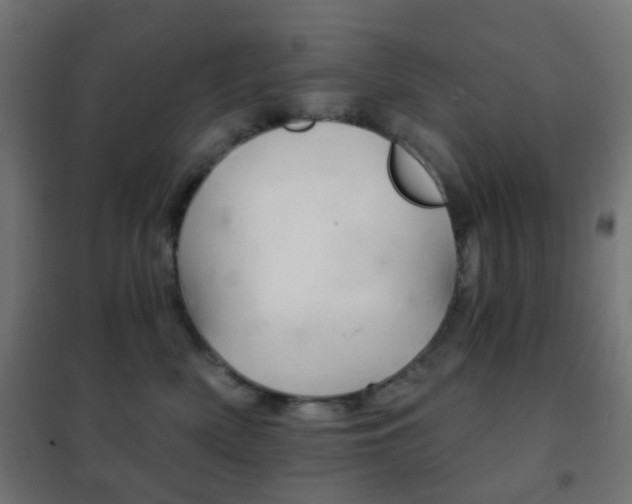 X0000102240522200807250841