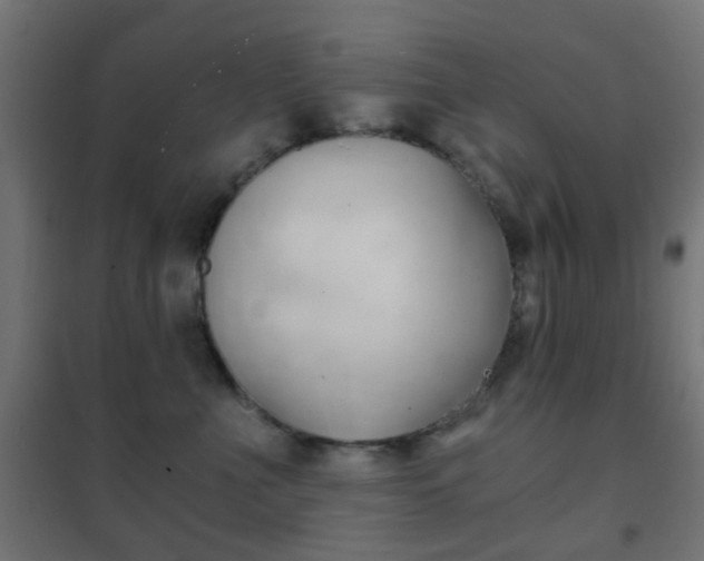 X0000102240523200807250841