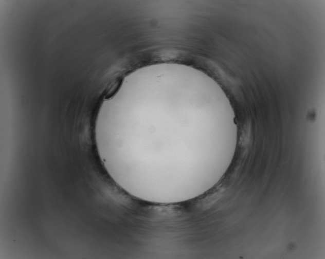 X0000102240524200807250841
