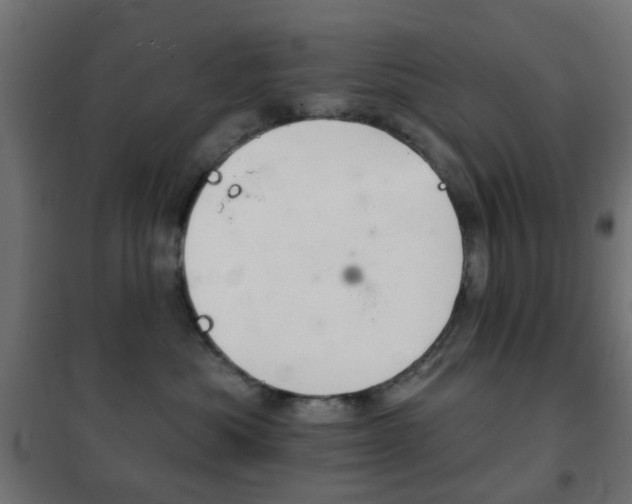 X0000102240525200807250841
