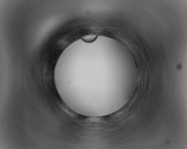 X0000102240526200807250841
