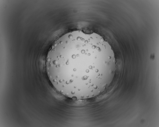 X0000102240527200807250841