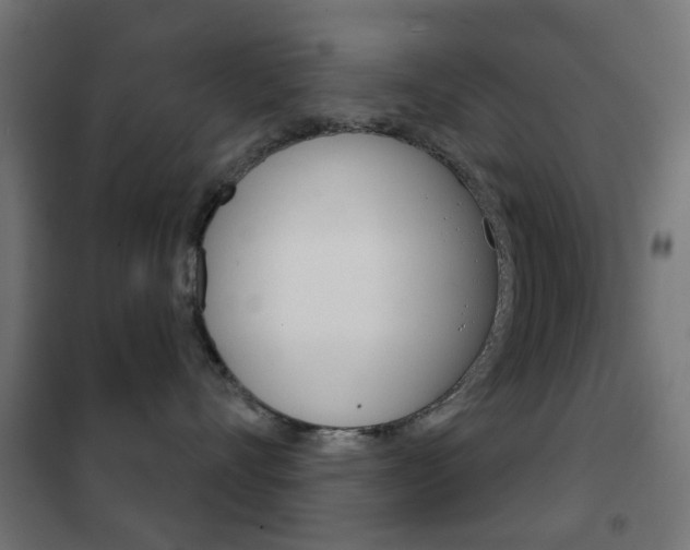 X0000102240528200807250841
