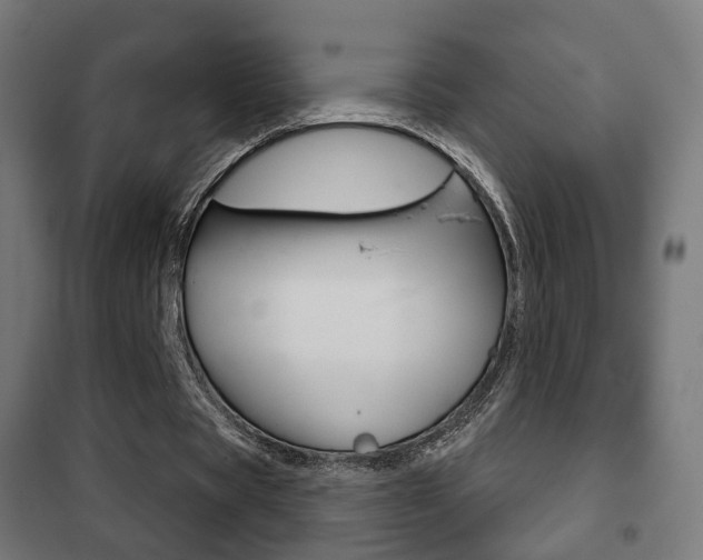 X0000102240529200807250840