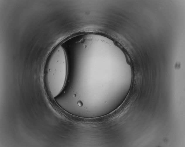 X0000102240530200807250840