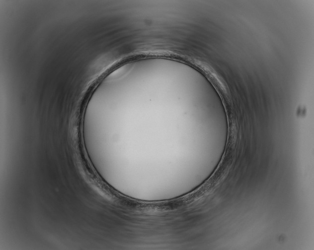 X0000102240533200807250840