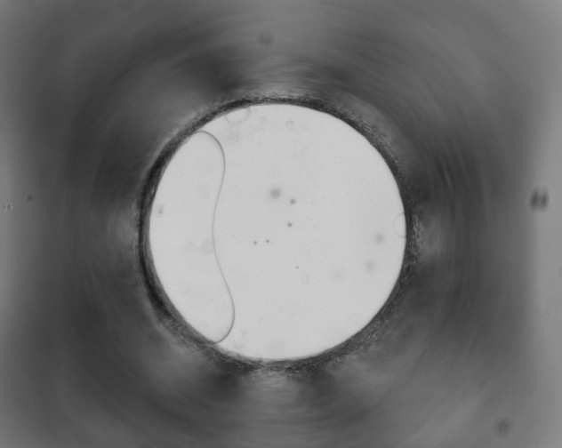 X0000102240534200807250840