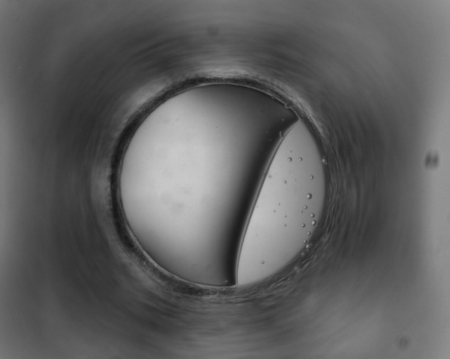 X0000102240535200807250840