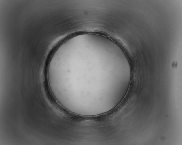 X0000102240536200807250840