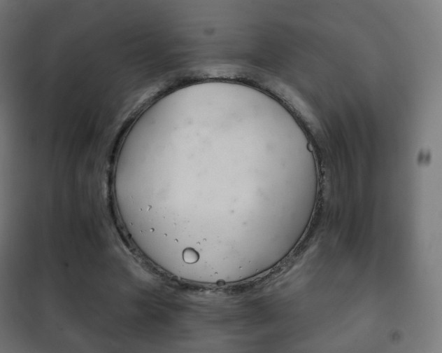 X0000102240537200807250840