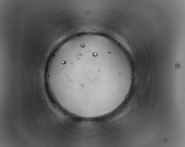 X0000102240538200807250840