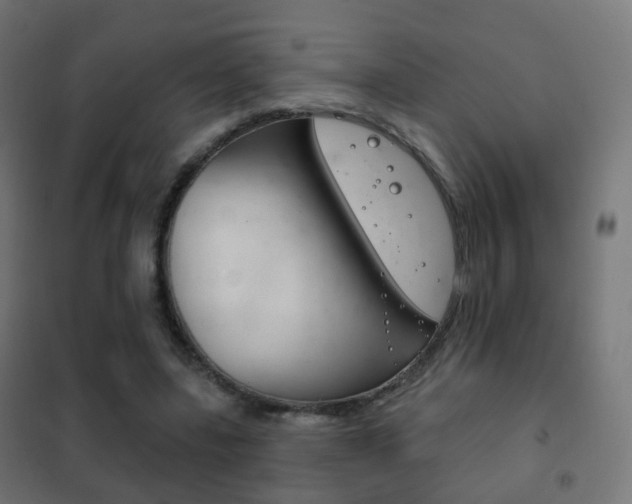 X0000102240539200807250840