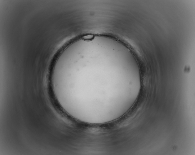 X0000102240540200807250840