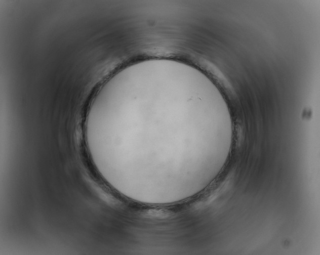 X0000102240541200807250840