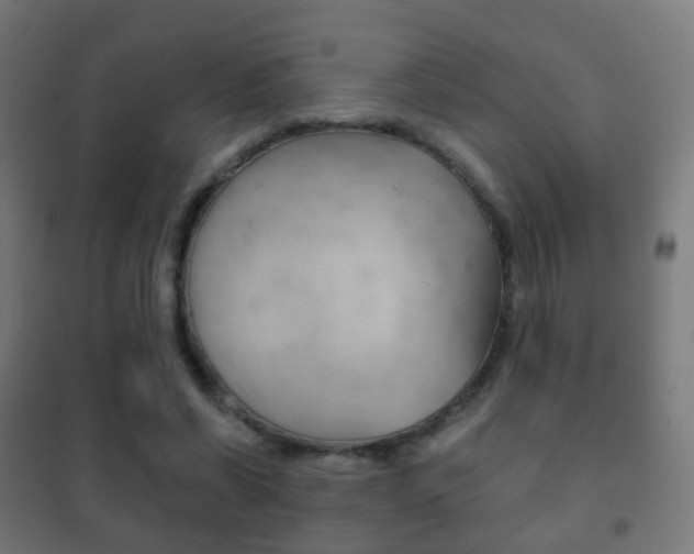 X0000102240542200807250840