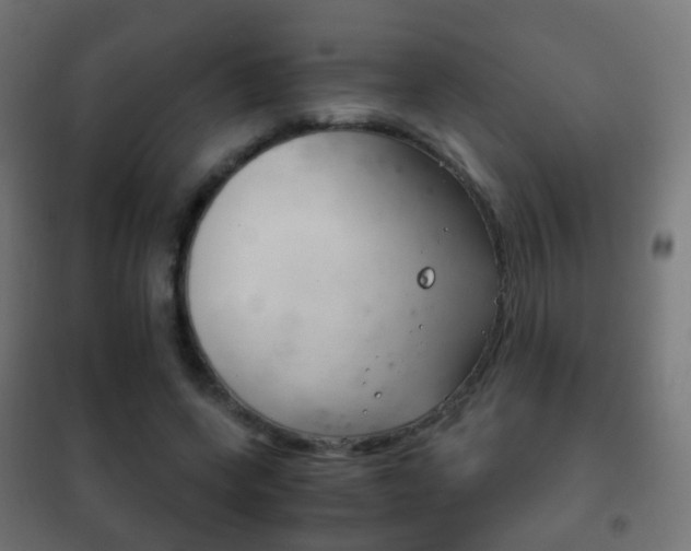 X0000102240543200807250840