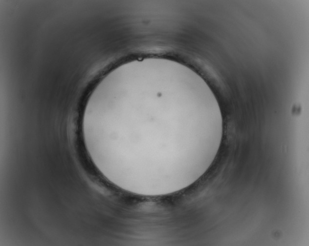 X0000102240544200807250840
