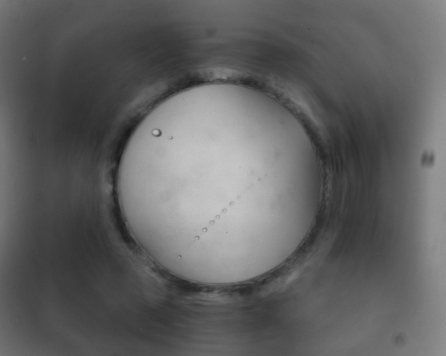 X0000102240545200807250840