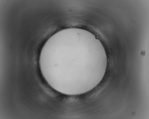 X0000102240546200807250840