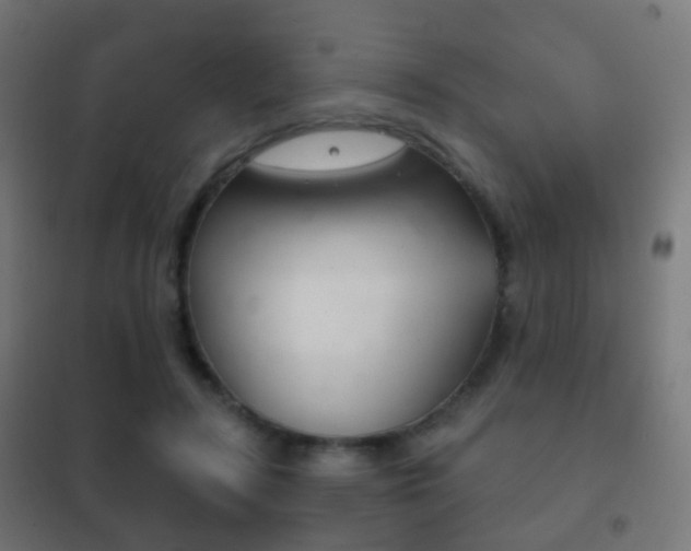 X0000102240547200807250840